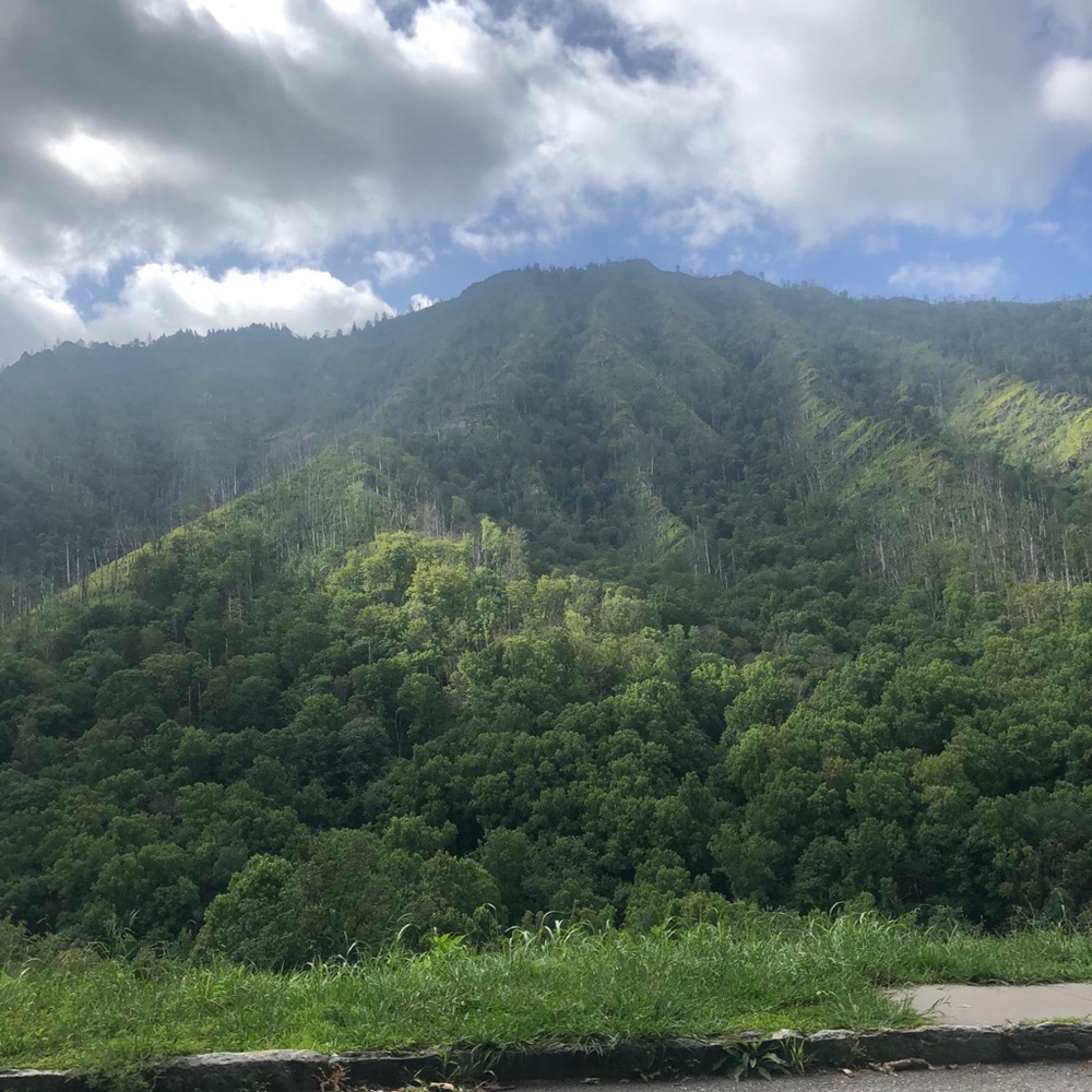 Meet your Posher, Bryce